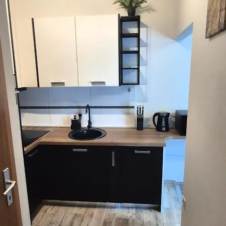 Barba Apartment Posedarje
